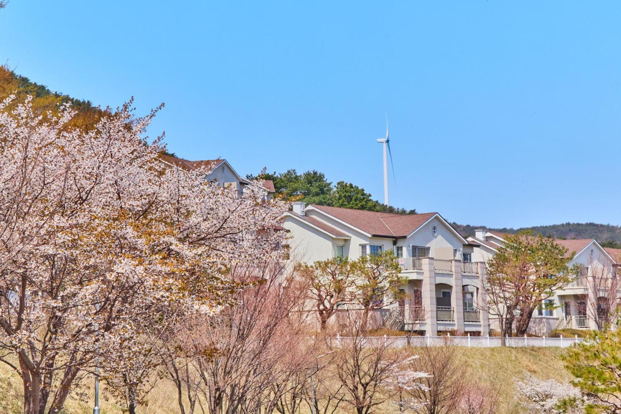 Gyeongju Mauna Ocean Resort Ngoại thất bức ảnh