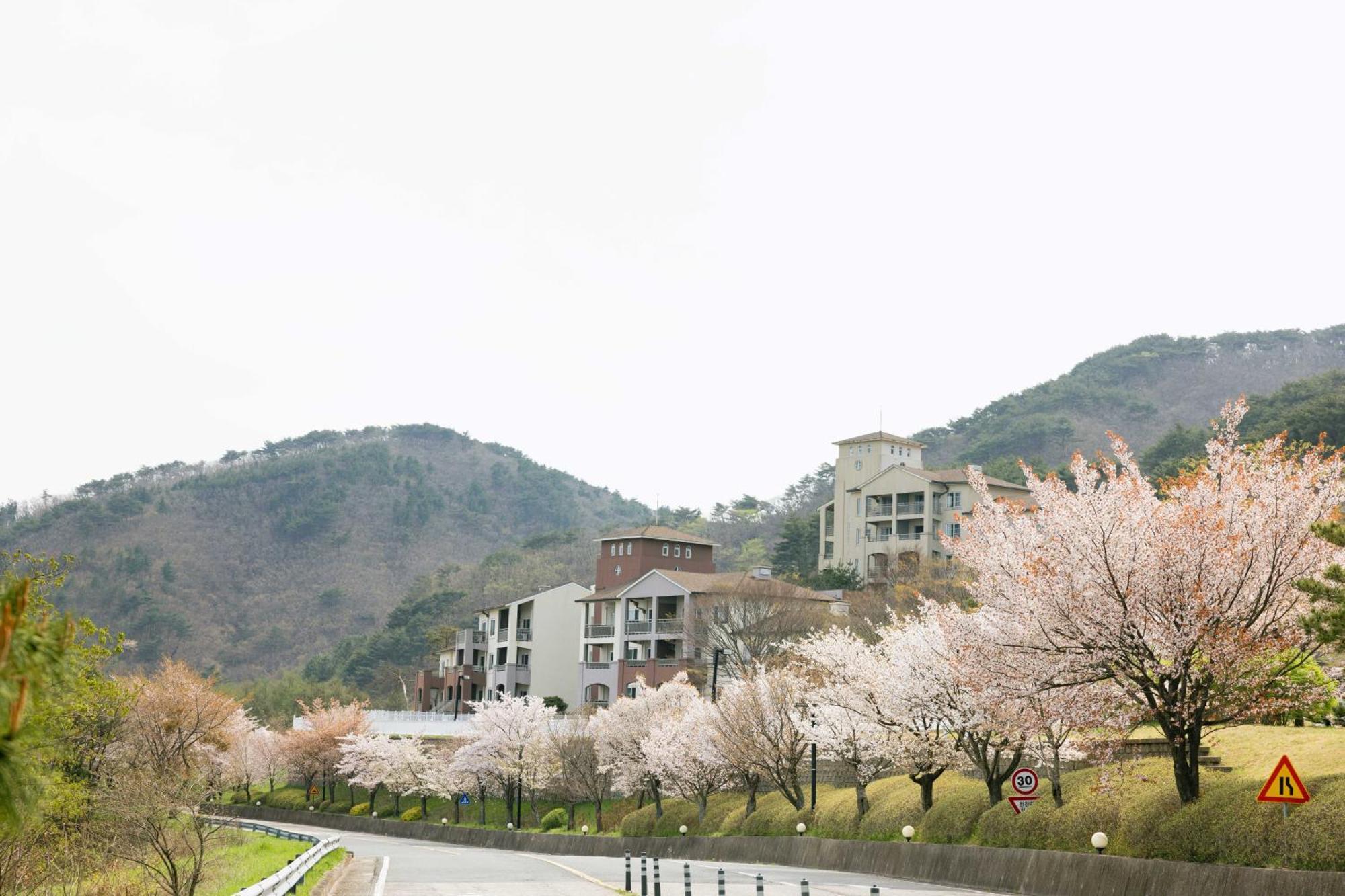 Gyeongju Mauna Ocean Resort Ngoại thất bức ảnh