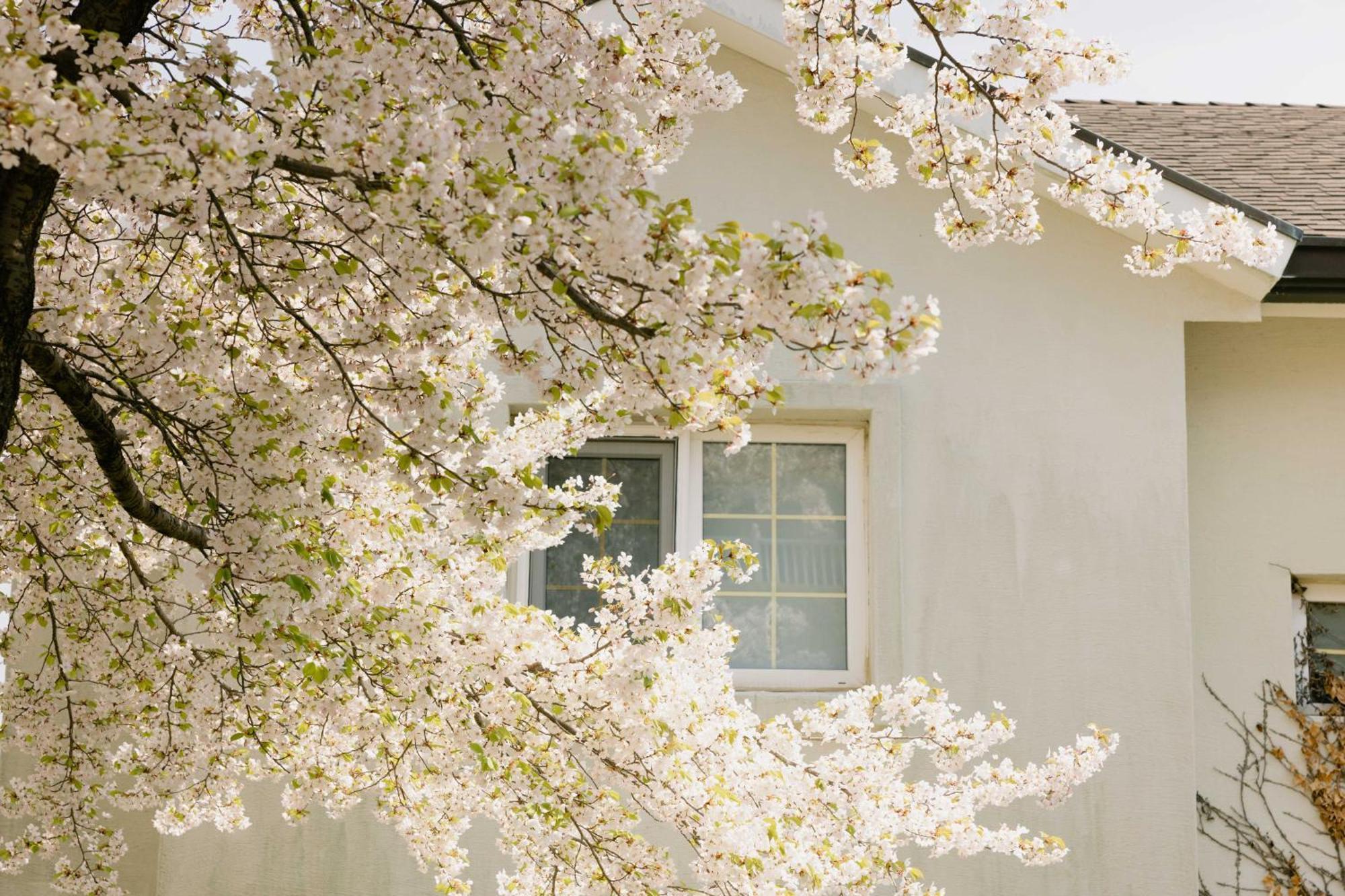 Gyeongju Mauna Ocean Resort Ngoại thất bức ảnh