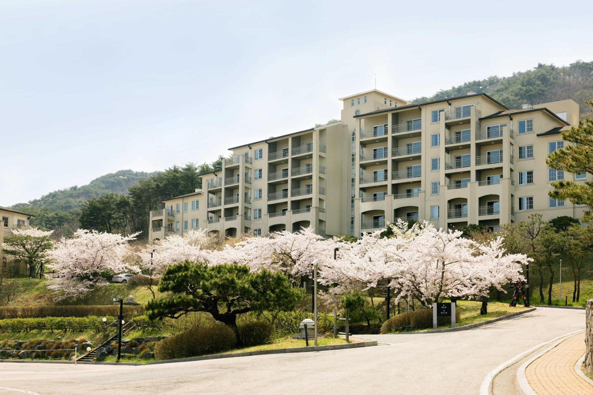Gyeongju Mauna Ocean Resort Ngoại thất bức ảnh