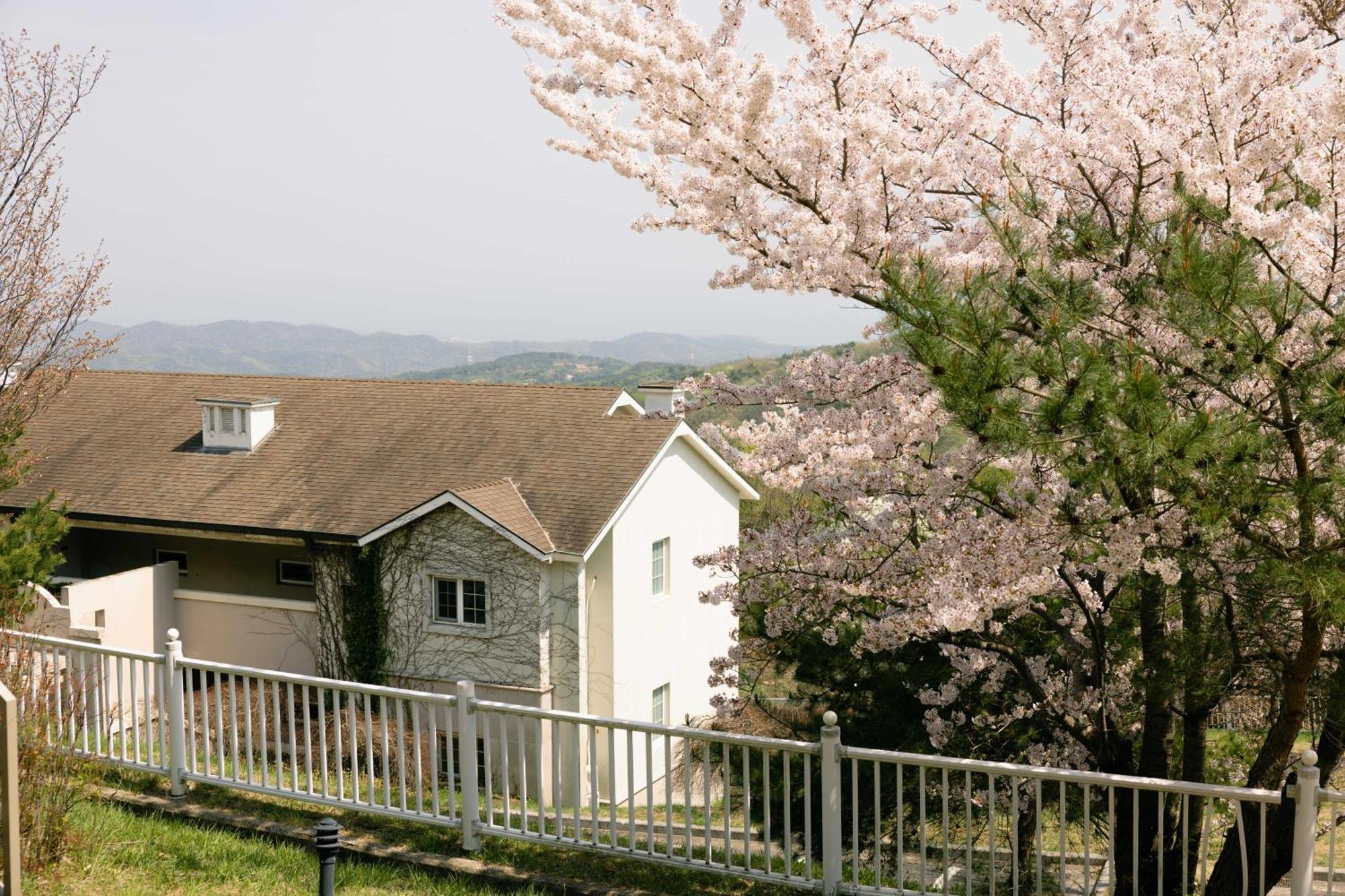 Gyeongju Mauna Ocean Resort Ngoại thất bức ảnh