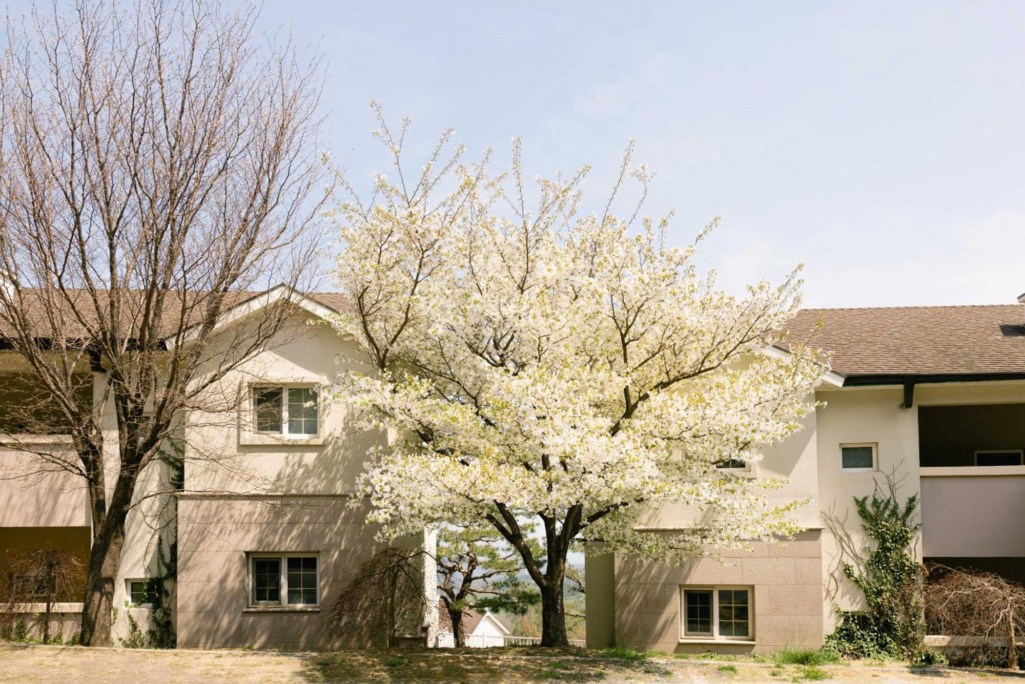 Gyeongju Mauna Ocean Resort Ngoại thất bức ảnh